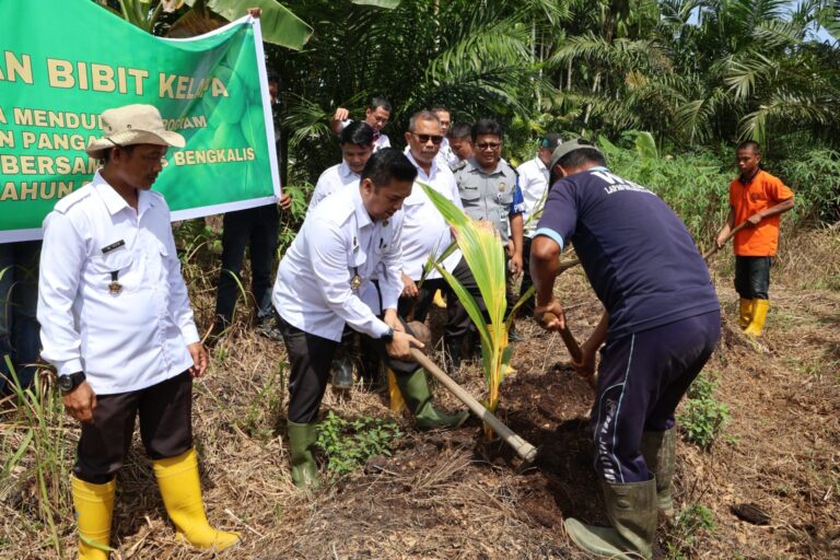 Dukung Ketahanan Pangan, Imigrasi Bengkalis Tanam 200 Bibit Kelapa